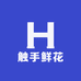 奇桩盆景G