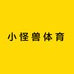 小怪兽体育专营店