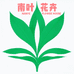 南叶花卉