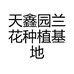 天鑫园兰花种植基地
