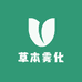 草本雾化综合