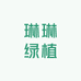 琳琳绿植