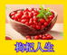 枸杞甄选