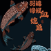 羽鳞锦鲤