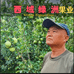 西域绿洲果业