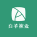白羊袜业