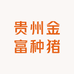 贵州金富种猪