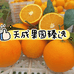 天成果园臻选