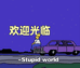 丽丽的宝藏个体店