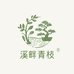 溪畔青枝精品盆景
