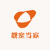 靓宠当家