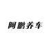 阿鹏养车