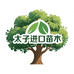 太子进口苗木供应链