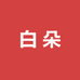 白朵女装