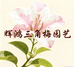 辉鸿三角梅园艺