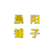 晨阳铺子