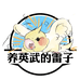 养英武的雷子