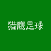 猎鹰足球国凯运动专卖店