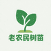 老农民树苗