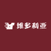 维多利亚轻奢文胸店