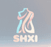 SHXI上海缘博奇电子商务有限公司女装专卖店
