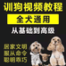 爱宠物生活用品