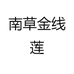南草金线莲