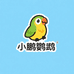 小鹏鹦鹉