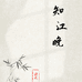 知江晚女装
