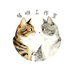 喵咻工作室