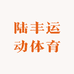 陆丰运动体育