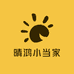 晴鸿小当家