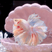泰斗水族大世界