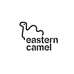 东方骆驼EASTERN CAMEL乾利股男装专卖店