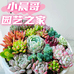 小晨哥园艺之家