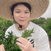 新会老农陈皮小青柑