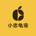 小忠龟宠