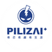 PILIZAI霹雳仔数码旗舰店