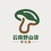 云南山货野生菌精选