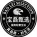 宝磊甄选