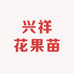 兴祥花果苗