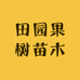 梅苗果树苗木专营店