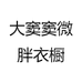 大窦窦微胖衣橱