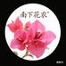 南下花农花卉