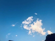 镜轩优选供应链