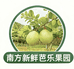 南方新鲜芭乐果园
