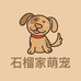 衡水石榴家萌宠