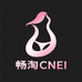 CNEI畅内