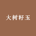大树籽玉