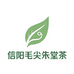 信阳毛尖朱堂茶